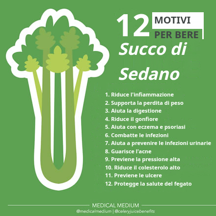 Bicchiere di succo di sedano fresco con gambi di sedano accanto
