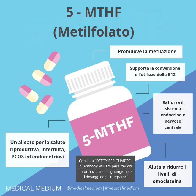 5-MTHF (metilfolato) e il suo legame con la vitamina B12 nel fegato