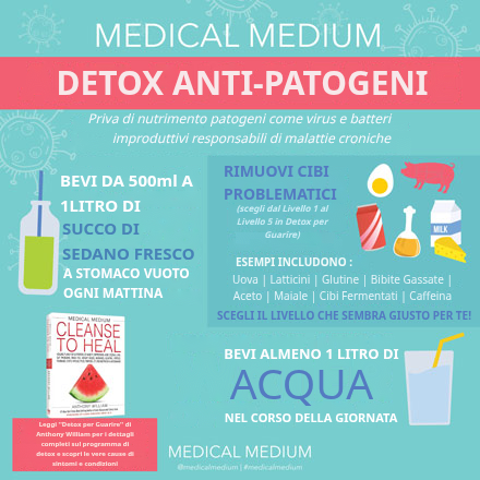 Bicchiere di succo fresco di sedano per la Medical Medium Anti-Bug Cleanse