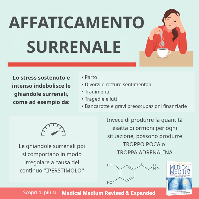 Fatica surrenale: alimenti di supporto come datteri, sedano, avocado, spinaci e frutta