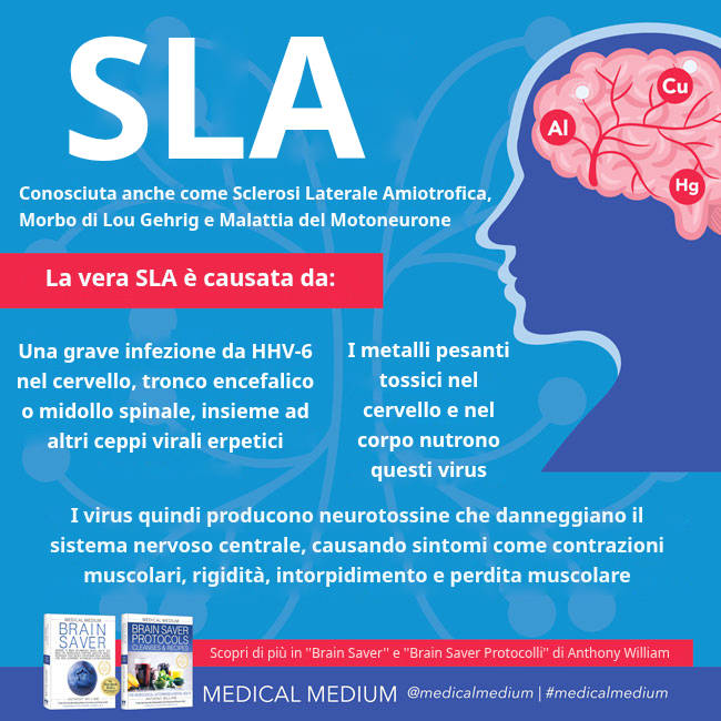 Cause virali e metalli pesanti alla base della SLA nel sistema nervoso centrale