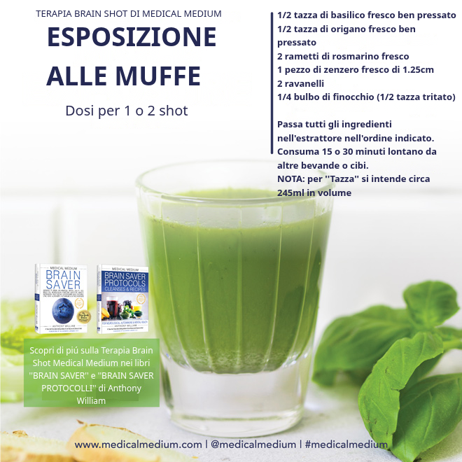 Brain shot muffe: basilico, origano, rosmarino, zenzero, ravanelli, finocchio