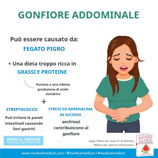 Gonfiore addominale: il ruolo di fegato, bile e acido cloridrico