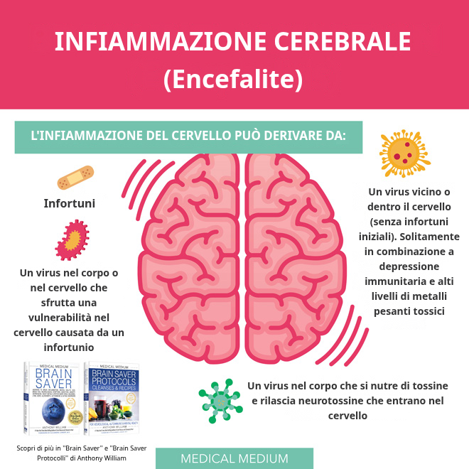 Infiammazione cerebrale: le tre tipologie e i sintomi delle neurotossine virali