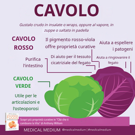 Cavolo rosso e cavolo verde: crucifere dalle proprietà curative per fegato e articolazioni
