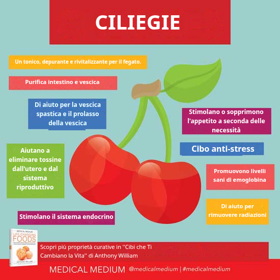 Ciliegie rosse fresche, alimento benefico per fegato, intestino e vescica