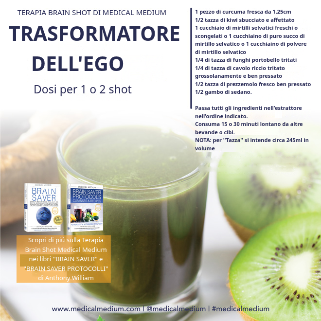 Ego Shifter Brain Shot: bicchiere con curcuma, kiwi, mirtilli selvatici e portobello