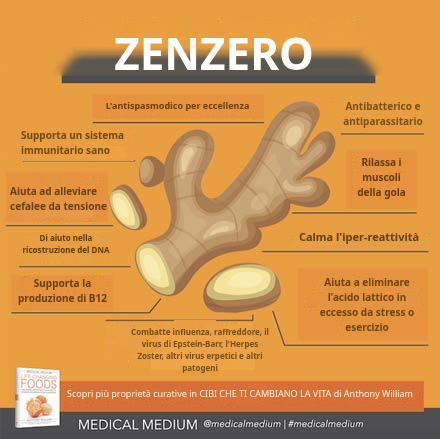 Radice di zenzero fresco, antispasmodico naturale ricco di minerali ed enzimi