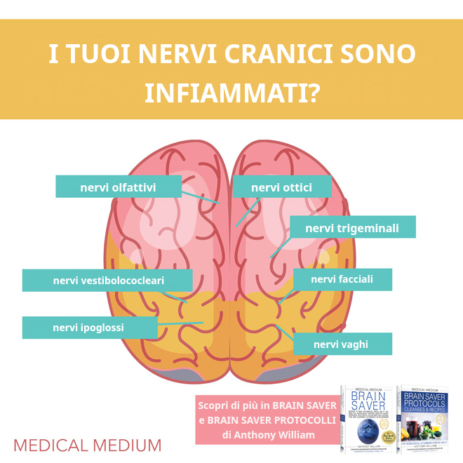 Nervi cranici che si estendono dal tronco encefalico e sintomi di infiammazione