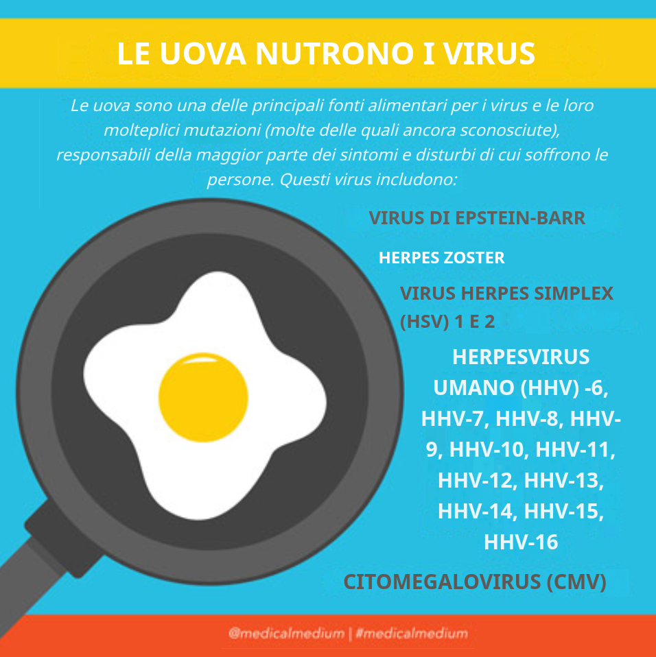 Uova: un alimento di sopravvivenza che alimenta virus, batteri e funghi