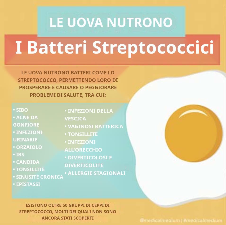 Uova e batteri streptococco: perché le uova alimentano lo streptococco