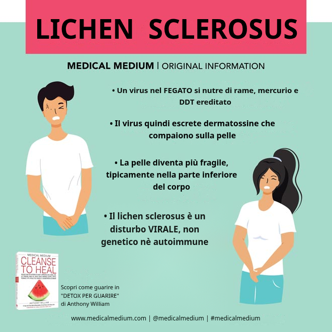 Lichen sclerosus: causa virale nel fegato e dermatossine sulla pelle