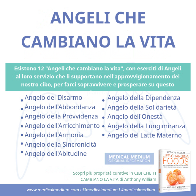 Gli Life-Changing Angels che sostengono cibo, raccolti e impollinatori
