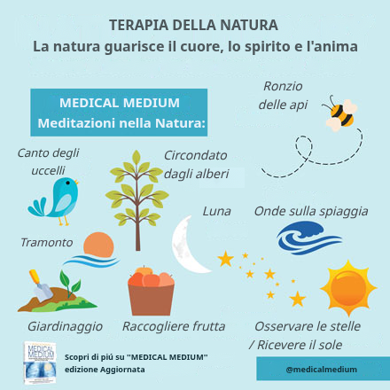 Camminare a piedi nudi sull'erba: la terapia della natura per corpo e mente