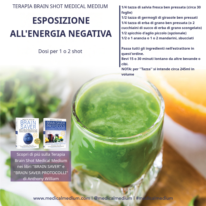 Brain Shot Esposizione all'Energia Negativa: salvia, germogli di girasole, erba di grano