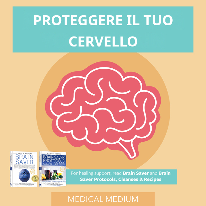 Il cervello non ci ha tradito: sono le sostanze chimiche e i virus a danneggiarlo
