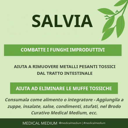 Tè alla salvia, erba antifungina naturale utile contro Candida e infezioni fungine