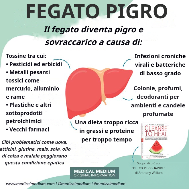 Riferimento all'articolo sul fegato pigro di Medical Medium