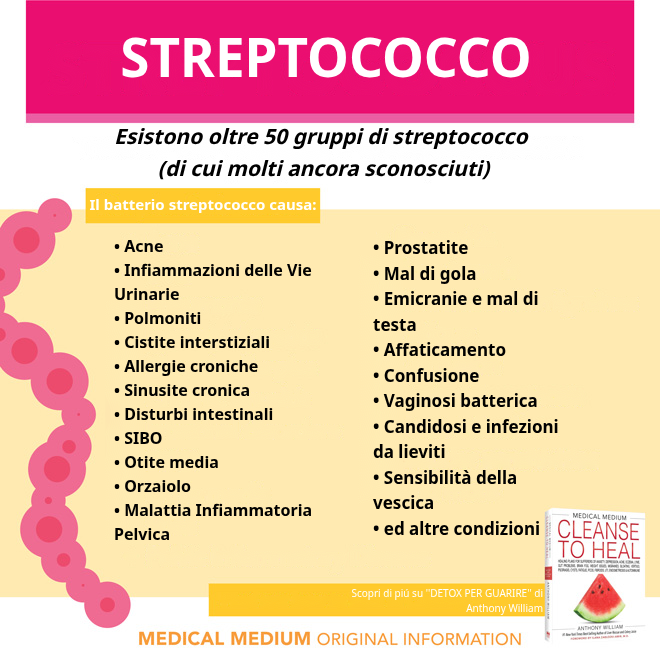 Batteri streptococco: oltre 50 gruppi e ceppi che causano sintomi diversi