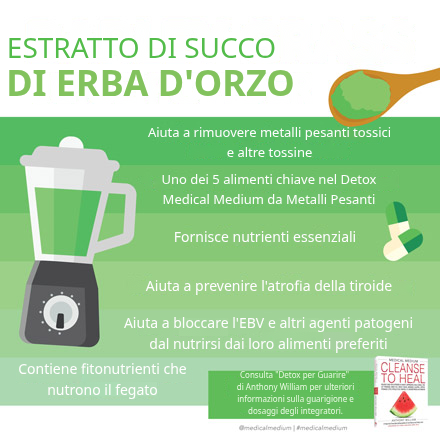 Polvere di succo di prato d'Orzo ricca di clorofilla e nutrienti