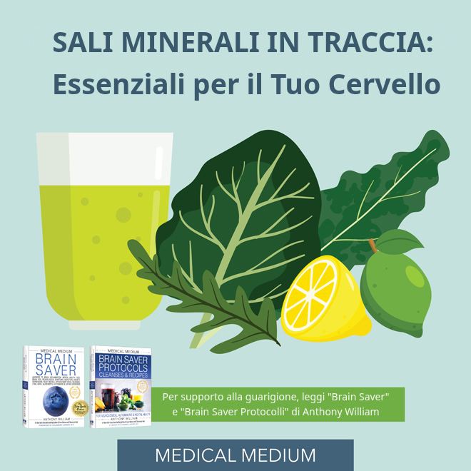 Minerali traccia per la salute del cervello: funzioni neurologiche e carenza