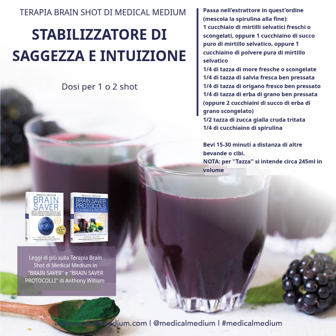 Brain Shot Saggezza e Intuizione: mirtilli selvatici, more, salvia, origano e spirulina